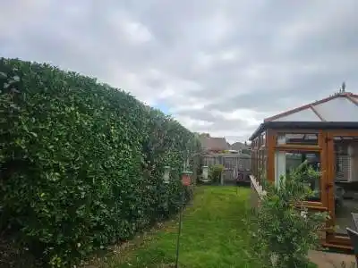 Landscaping & Fencing Chard service in Chard
