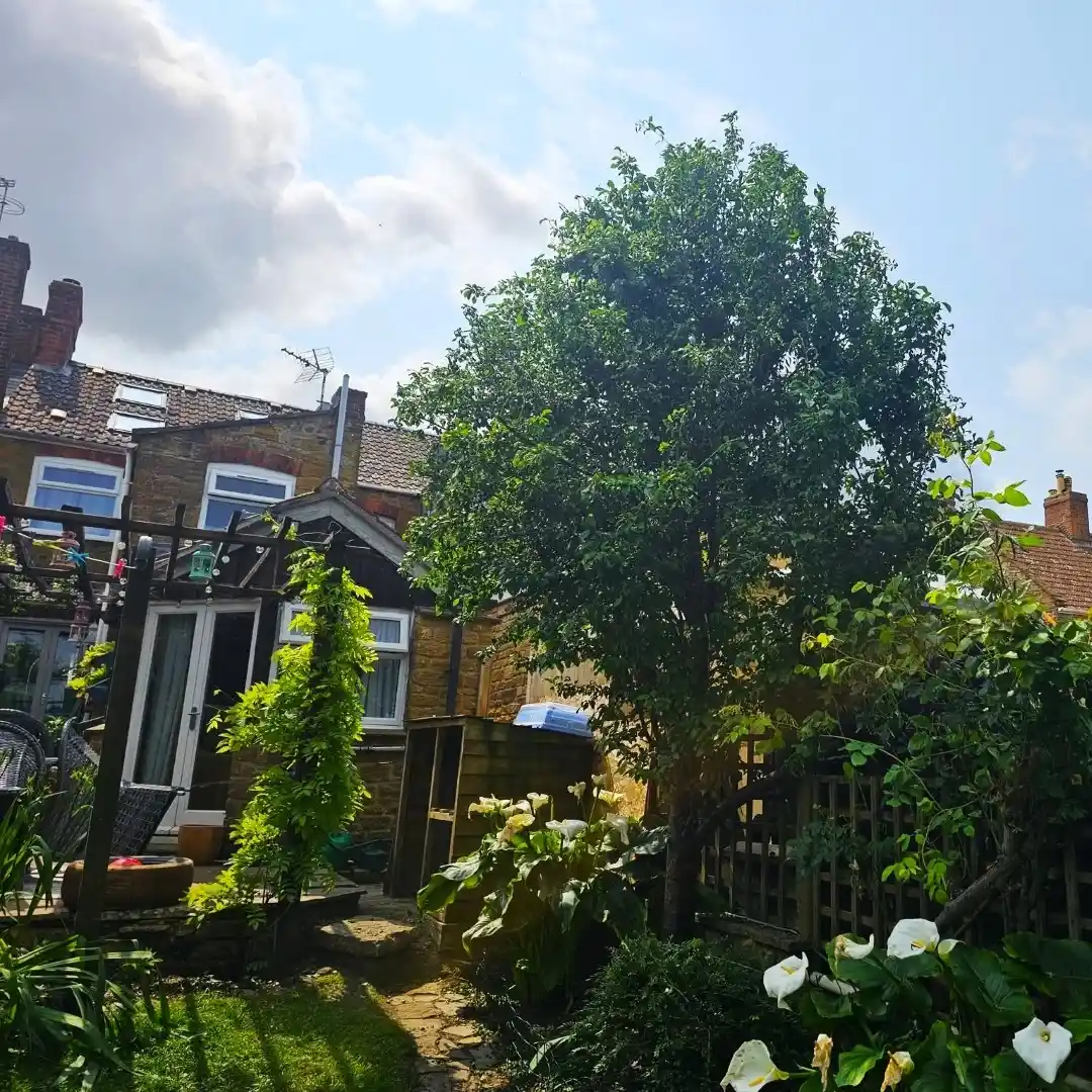 Beautiful landscaping and fencing project in Chard