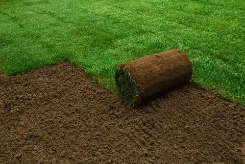 Natural and artificial lawns laying