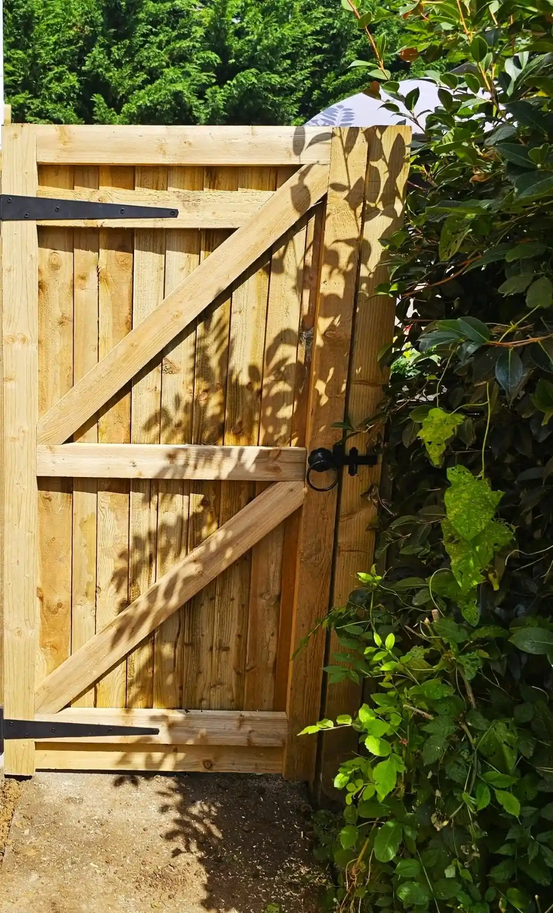 Landscaping and fencing in Axminster
